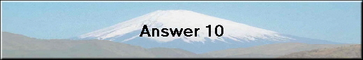 Answer 10