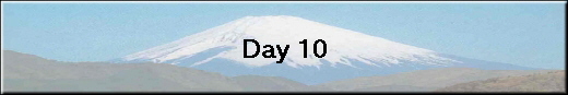 Day 10