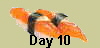 Day 10