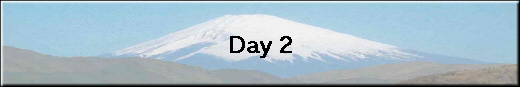 Day 2