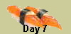 Day 7