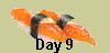 Day 9