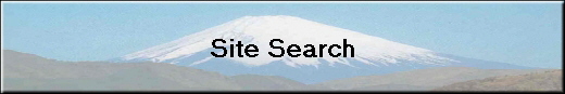 Site Search
