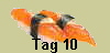 Tag 10