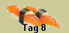 Tag 8